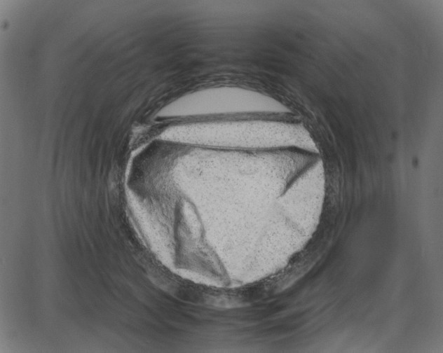 X0000087420561200705181425