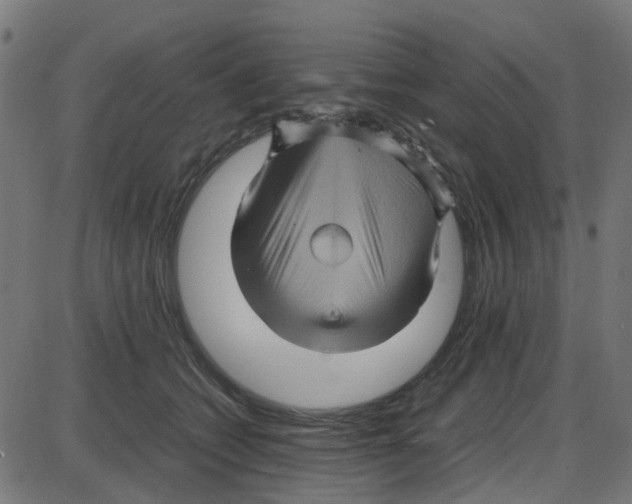X0000087420562200705181425