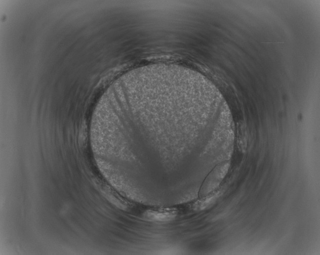 X0000087420563200705181425