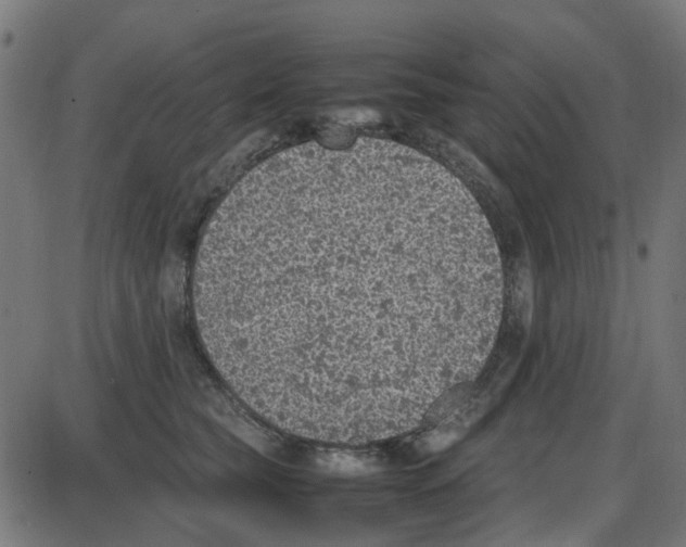 X0000087420565200705181425