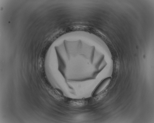 X0000087420567200705181425