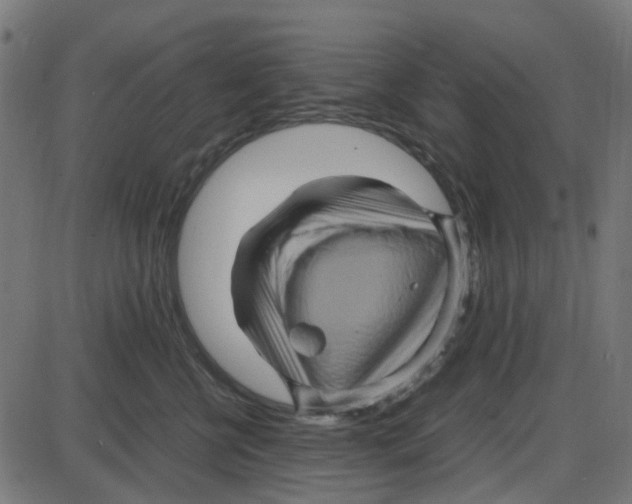 X0000087420570200705181425