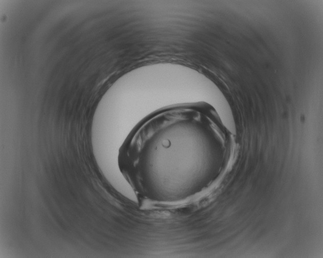 X0000087420572200705181426