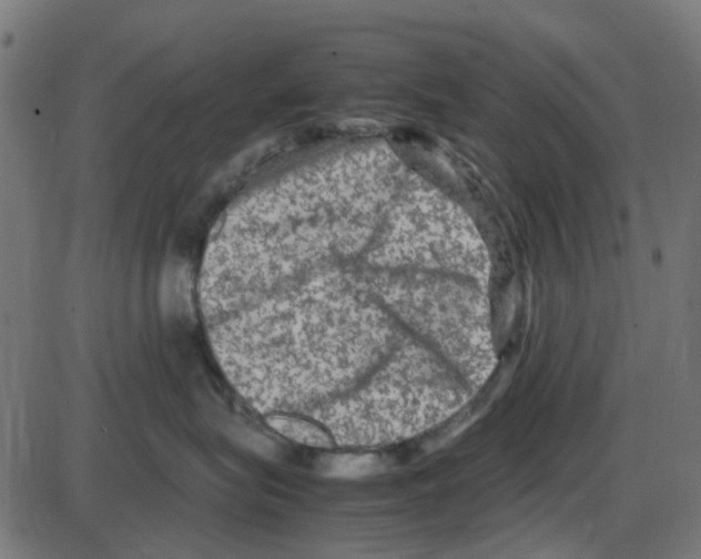 X0000087420575200705181426