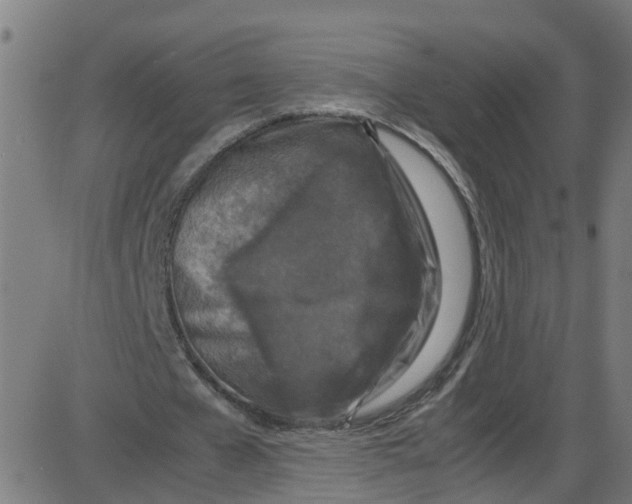 X0000087420577200705181425