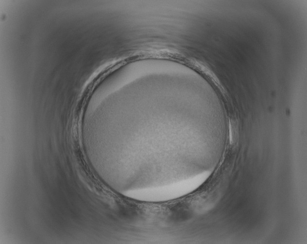 X0000087420579200705181425