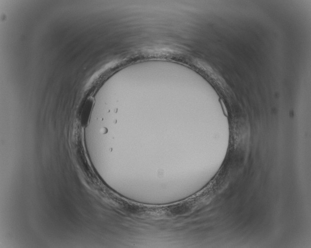X0000087420583200705181425
