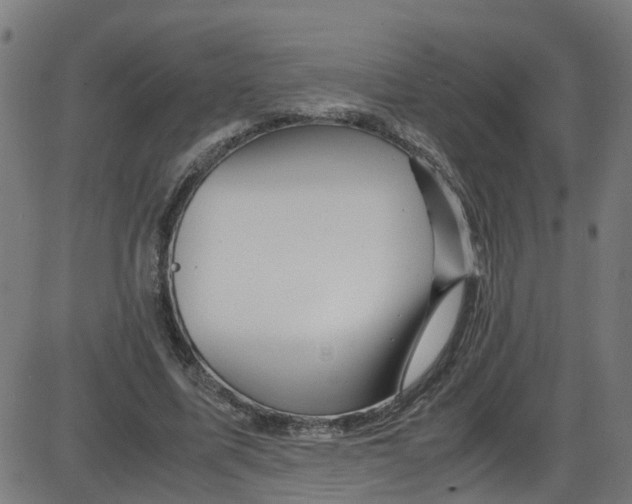 X0000087420587200705181425