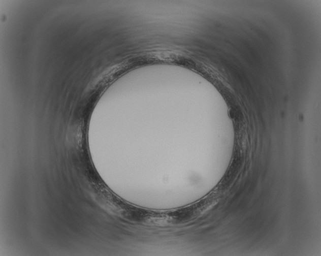 X0000087420595200705181424