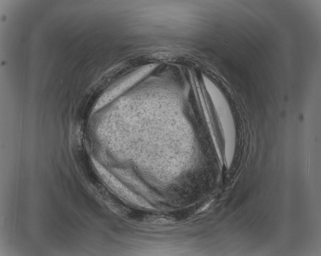 X0000087420597200705181424
