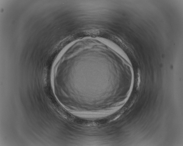 X0000087420600200705181424