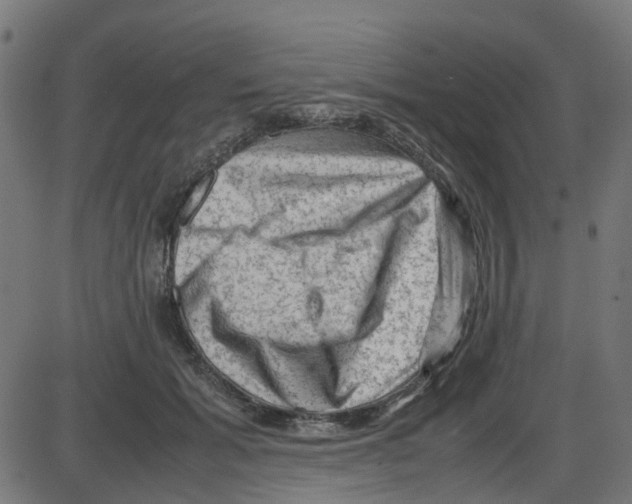 X0000087420605200705181424