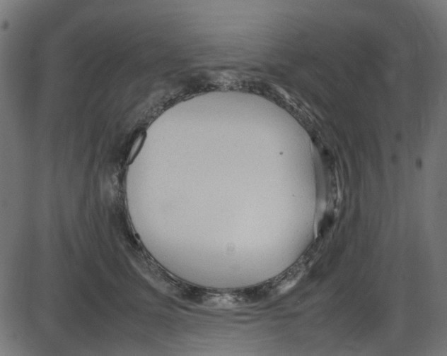 X0000087420611200705181424