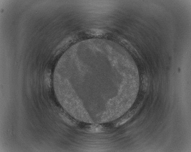 X0000087420612200705181424
