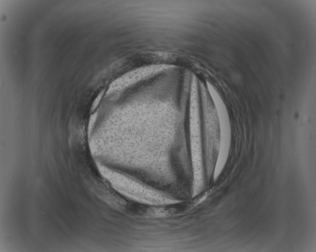 X0000087420613200705181424