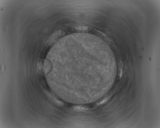 X0000087420614200705181424