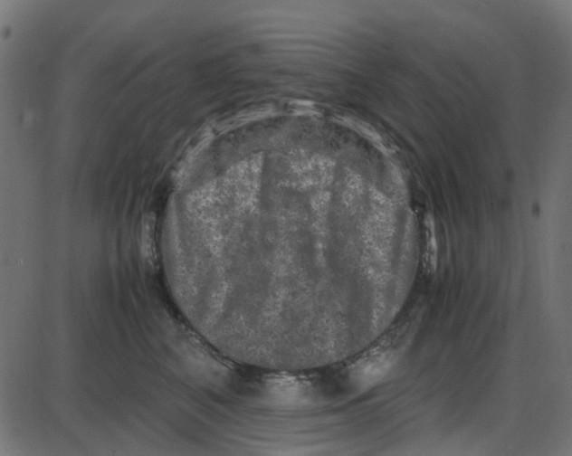 X0000087420616200705181424