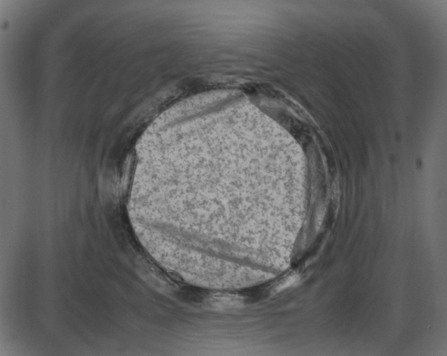 X0000087420617200705181424
