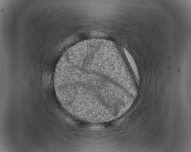 X0000087420619200705181424