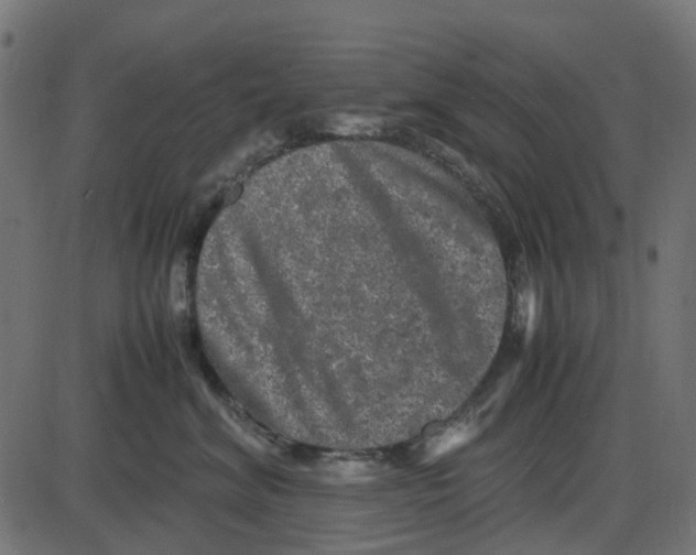X0000087420620200705181424