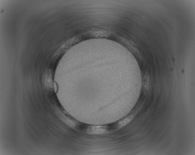 X0000087420622200705181424
