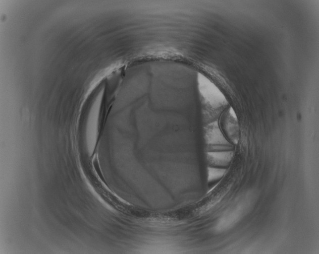 X0000087420630200705181423