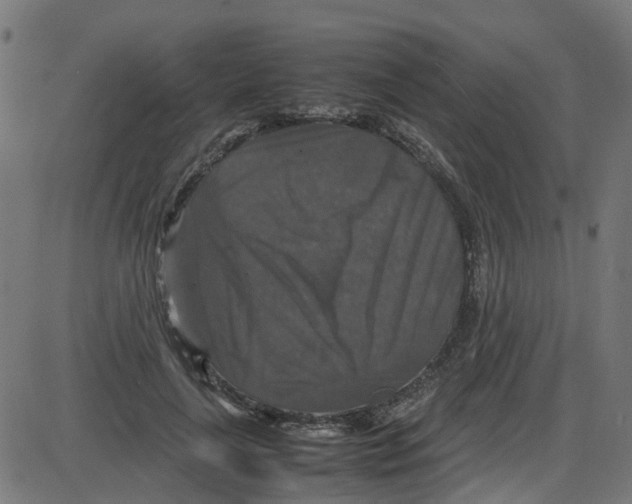 X0000087420643200705181424