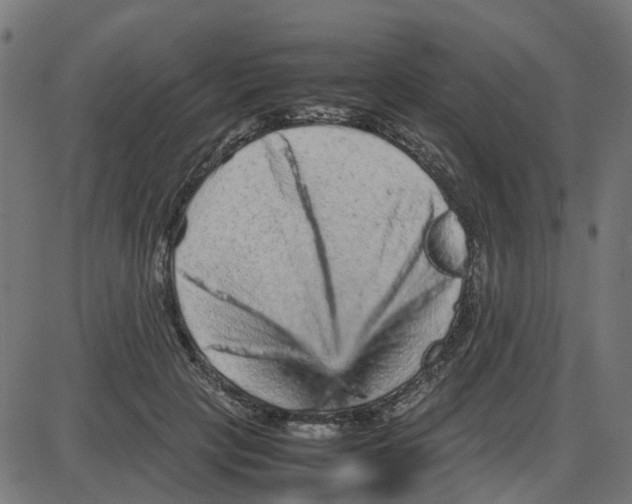 X0000087420649200705181424