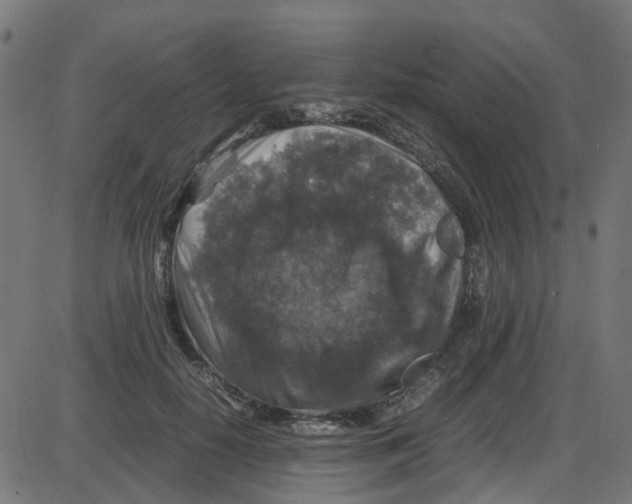 X0000087420650200705181424