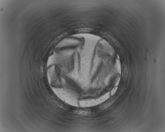 X0000087420655200705181424