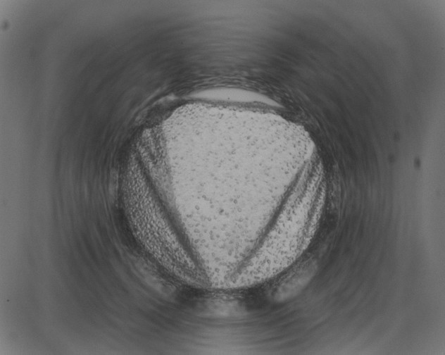 X0000087420656200705181424