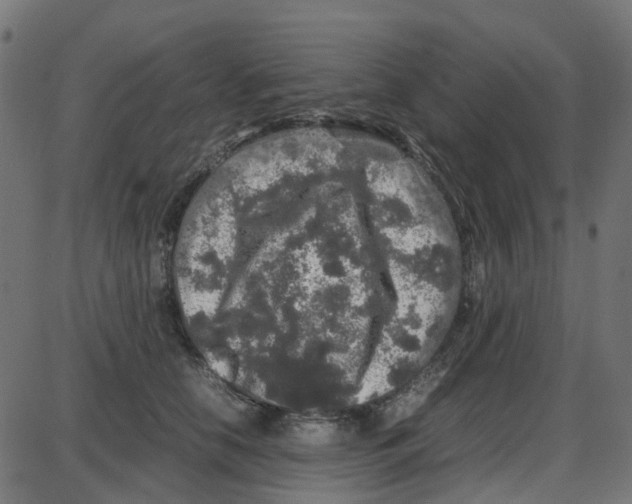 X0000087420658200705181424