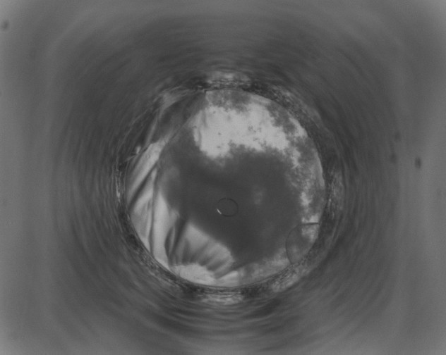 X0000087420659200705181424