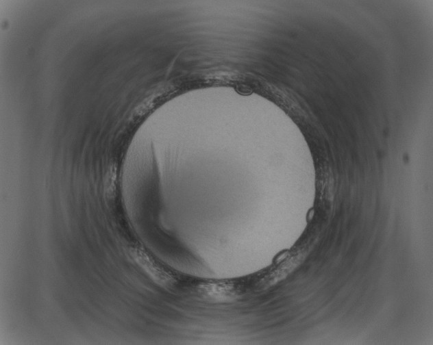 X0000087420660200705181424