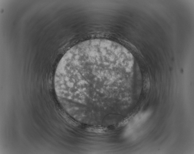 X0000087420661200705181424