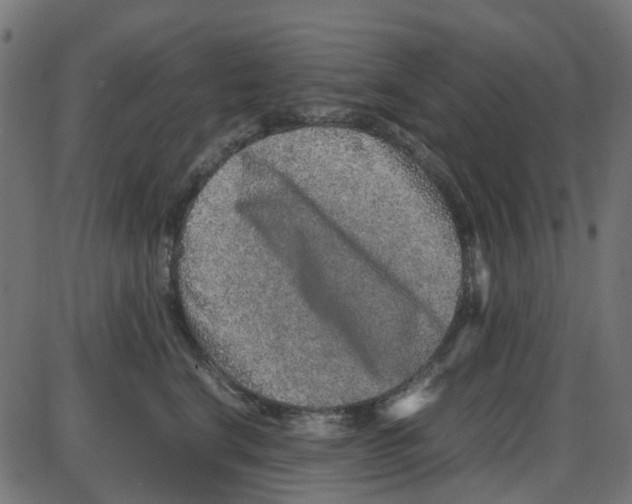 X0000087420664200705181424