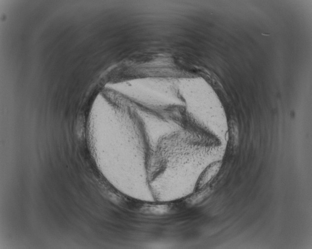 X0000087420665200705181424
