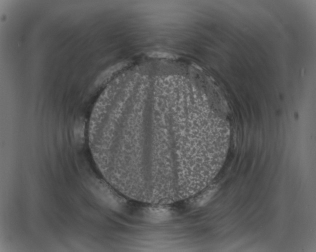 X0000087420668200705181424