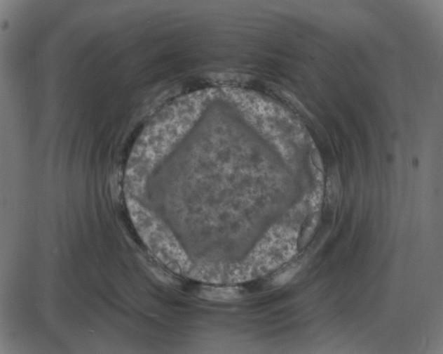 X0000087420671200705181424