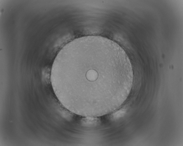 X0000087420672200705181424