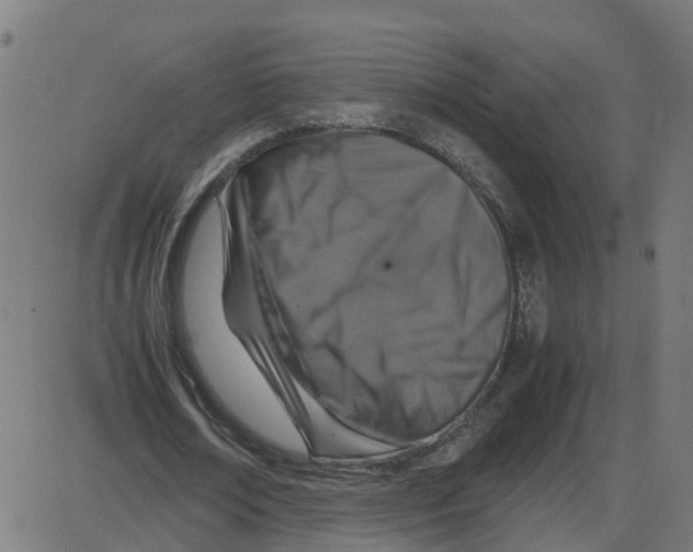 X0000087420674200705181423