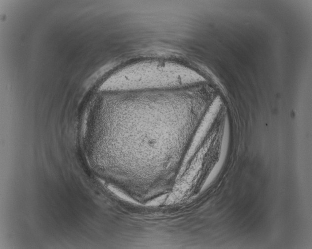 X0000087420675200705181423