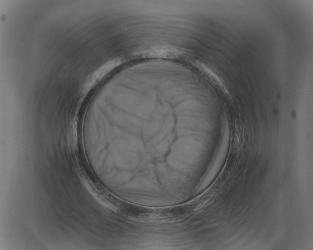 X0000087420678200705181423