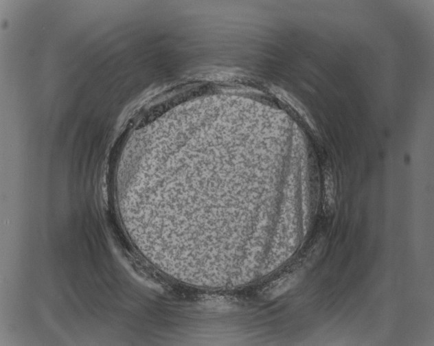 X0000087420682200705181423