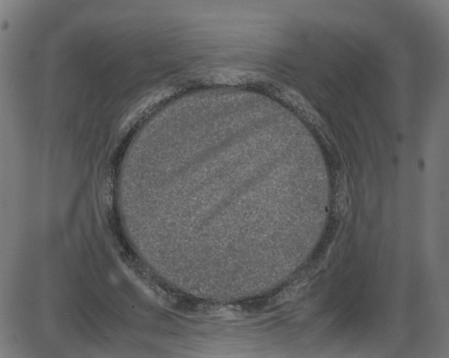 X0000087420683200705181423