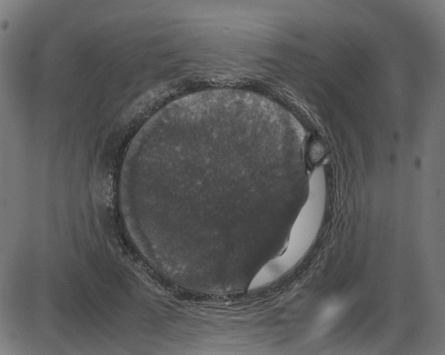 X0000087420689200705181423