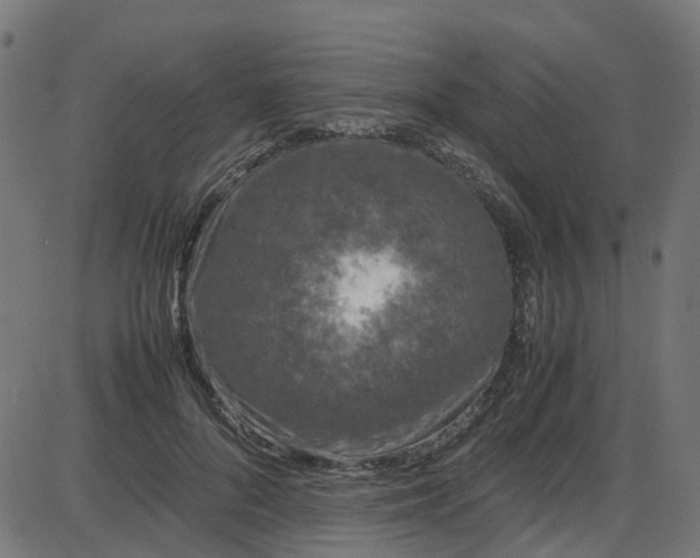 X0000087420696200705181423