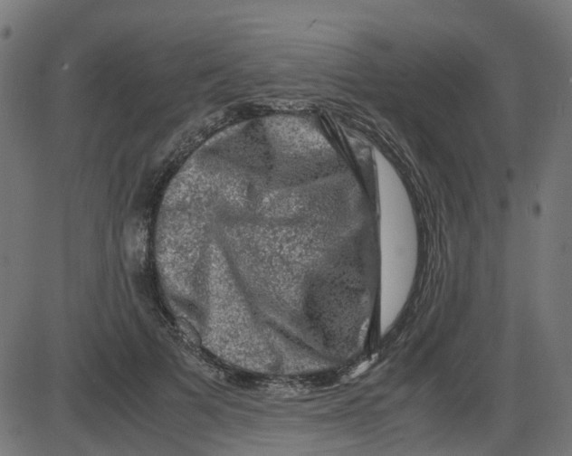 X0000087420697200705181423