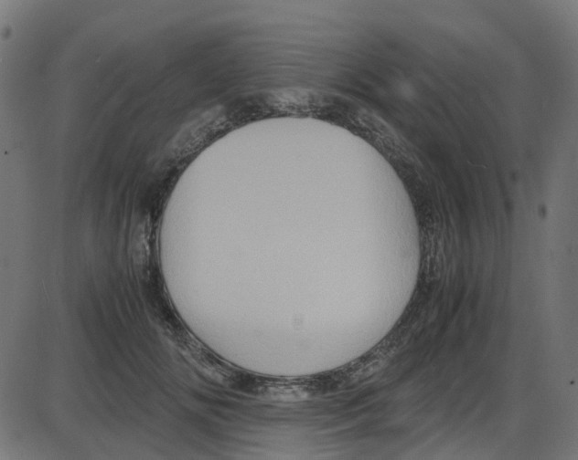 X0000087420702200705181423