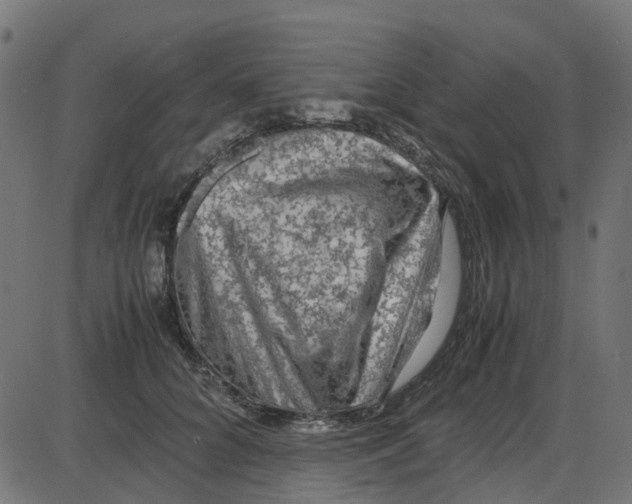 X0000087420704200705181423
